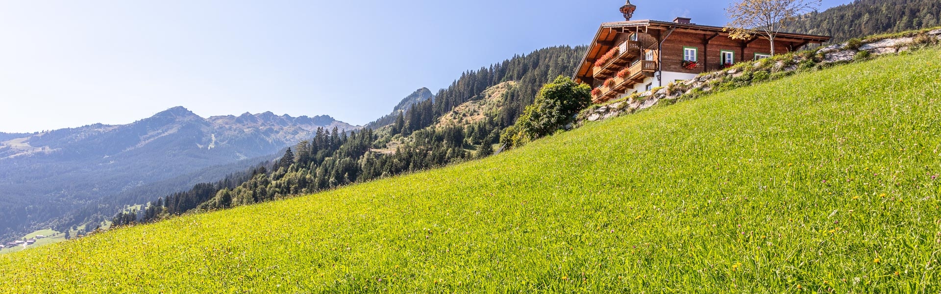 Ferienwohnungen Badhofgastein Unterku0nft Biobauernhof 3884